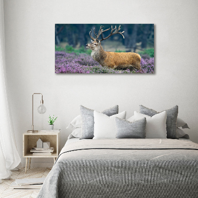 Canvas foto Hert tussen de lavendel