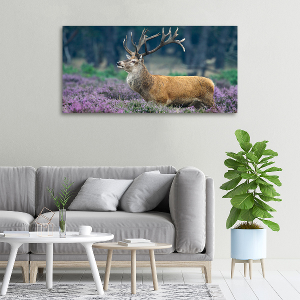 Canvas foto Hert tussen de lavendel