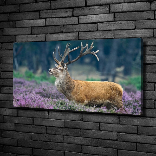 Canvas foto Hert tussen de lavendel