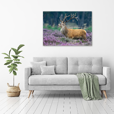 Canvas foto Hert tussen de lavendel
