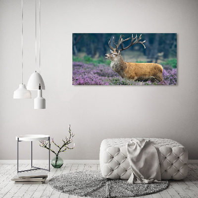 Canvas foto Hert tussen de lavendel