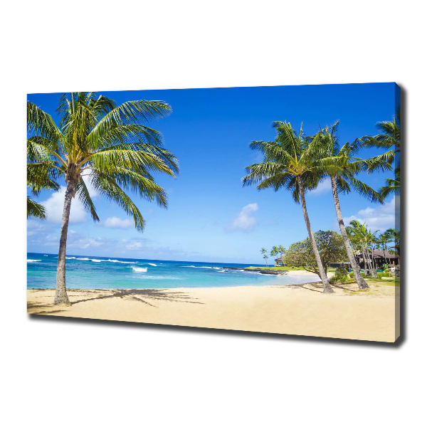 Foto canvas Tropisch strand