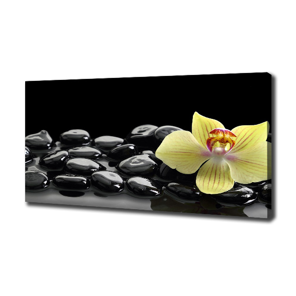 Canvas schilderij Orchidee