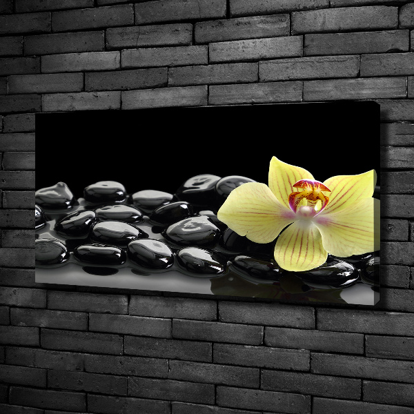 Canvas schilderij Orchidee