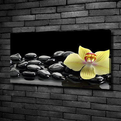 Canvas schilderij Orchidee