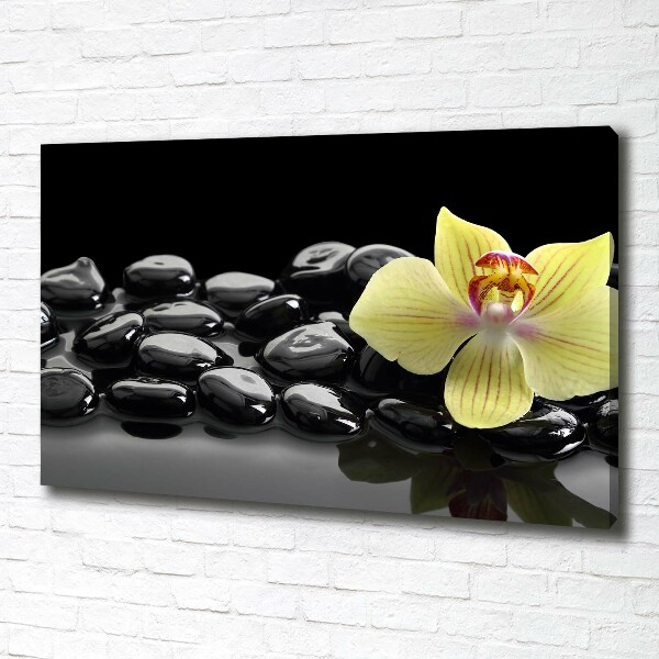 Canvas schilderij Orchidee