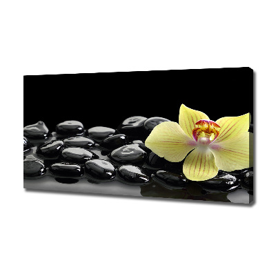 Canvas schilderij Orchidee