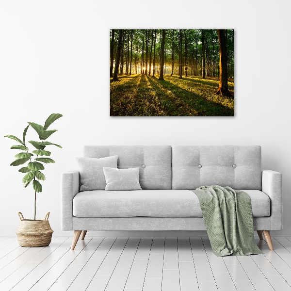 Foto op canvas Zonnestralen