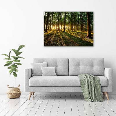 Foto op canvas Zonnestralen