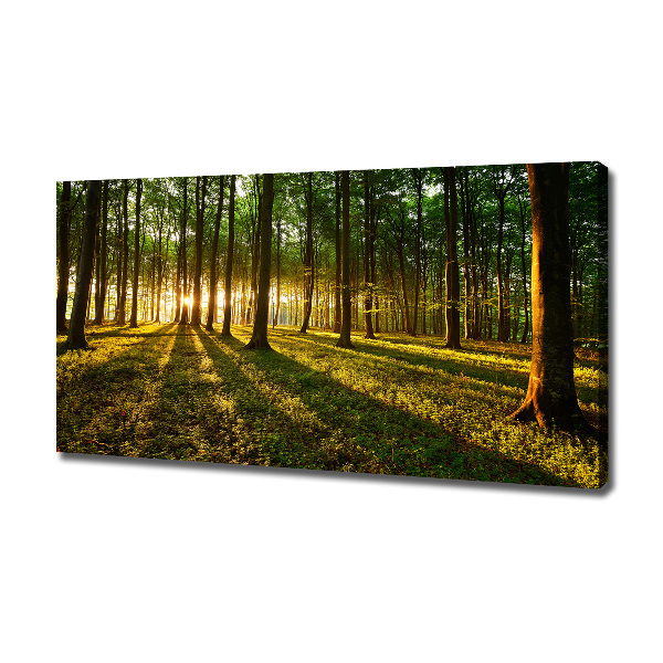 Foto op canvas Zonnestralen