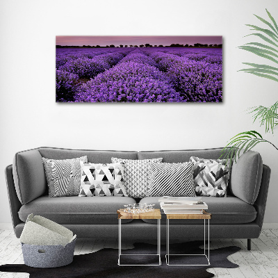 Foto op canvas Lavendelveld