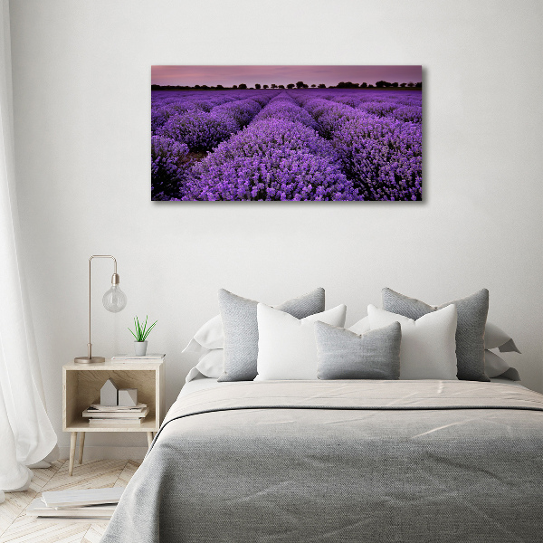 Foto op canvas Lavendelveld