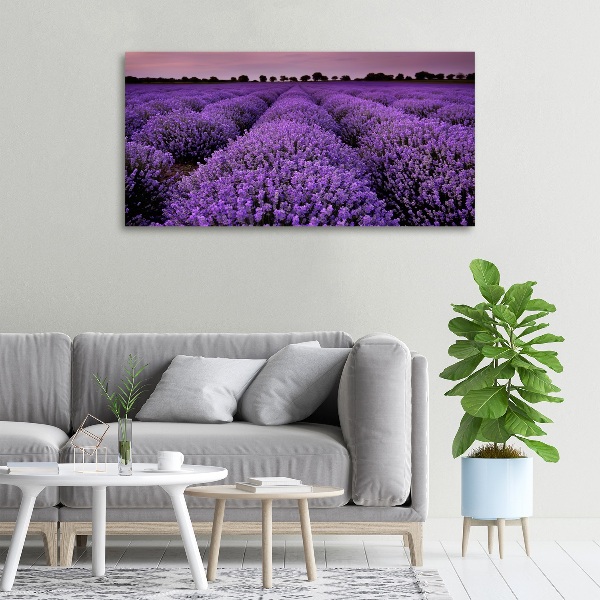 Foto op canvas Lavendelveld