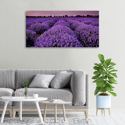 Foto op canvas Lavendelveld