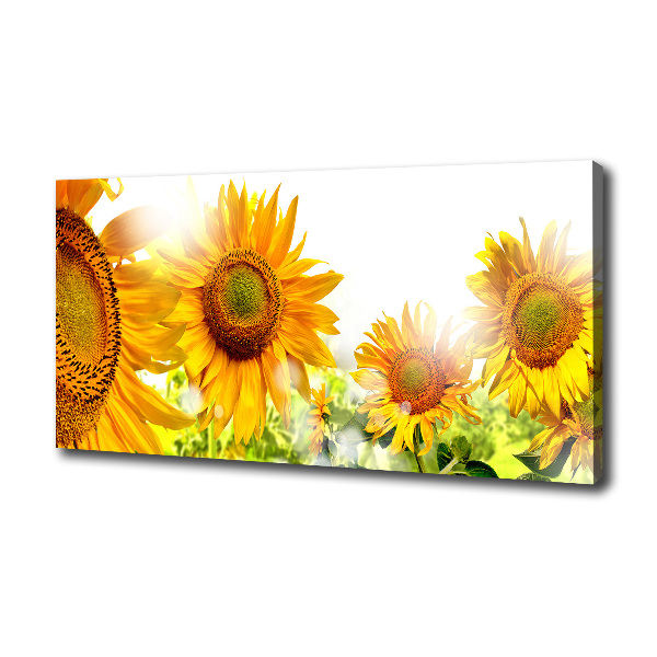 Canvas foto Zonnebloemen