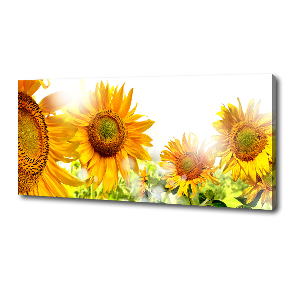 Canvas foto Zonnebloemen