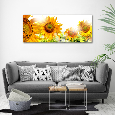 Canvas foto Zonnebloemen