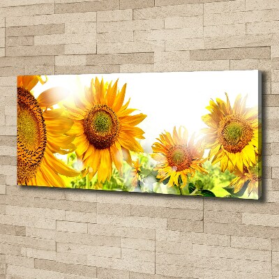 Canvas foto Zonnebloemen