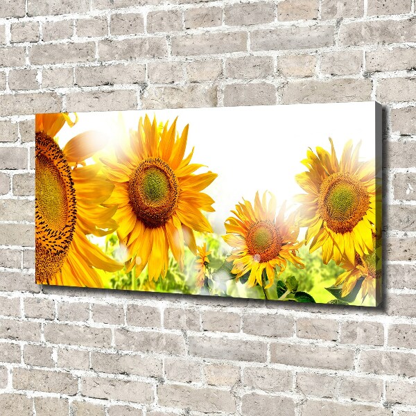 Canvas foto Zonnebloemen