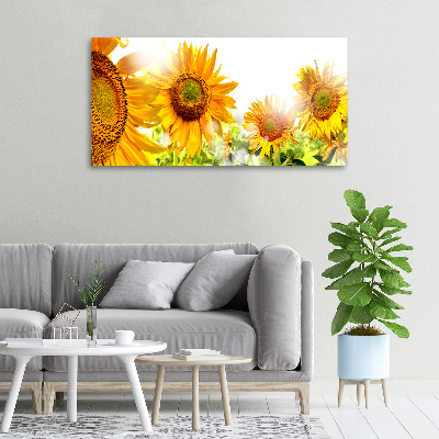Canvas foto Zonnebloemen