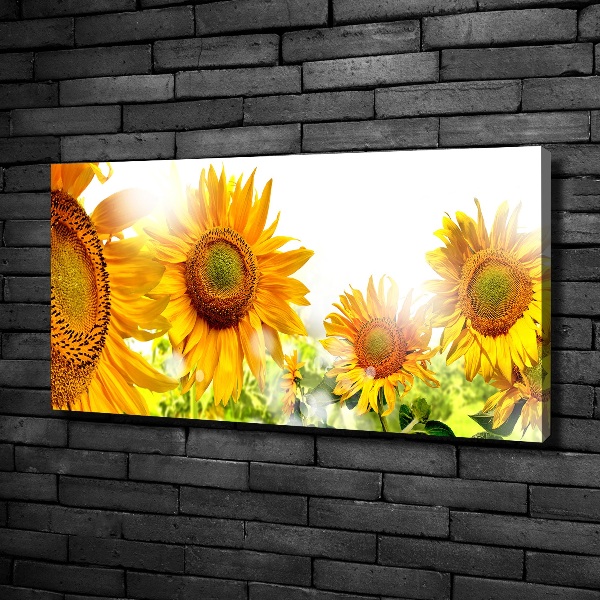 Canvas foto Zonnebloemen