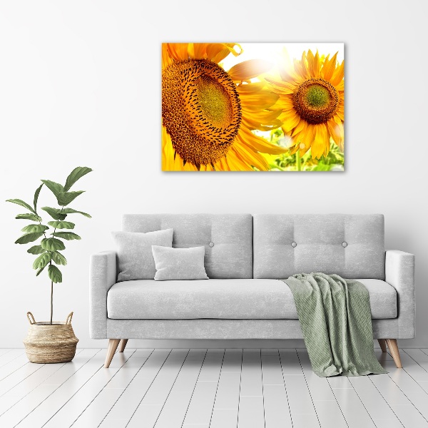 Canvas foto Zonnebloemen