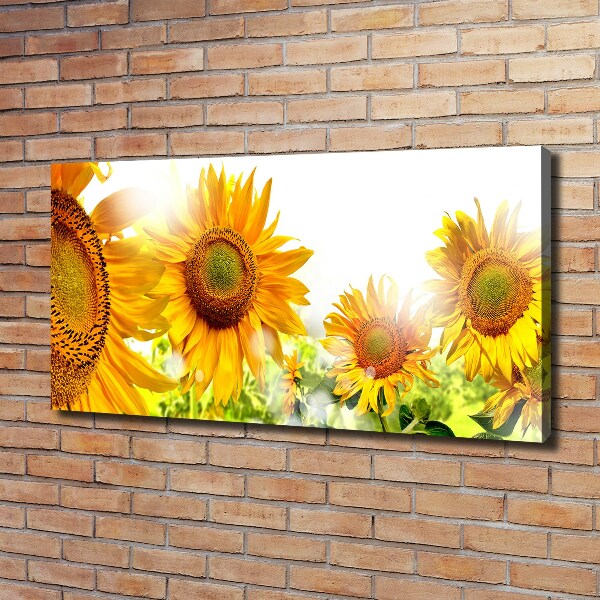 Canvas foto Zonnebloemen