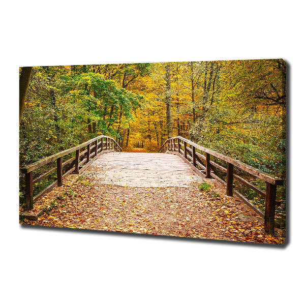 Foto canvas Brug in het herfstbos