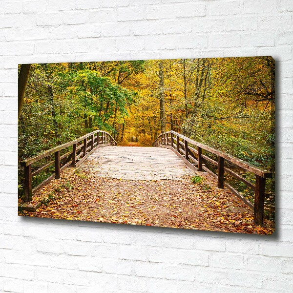 Foto canvas Brug in het herfstbos