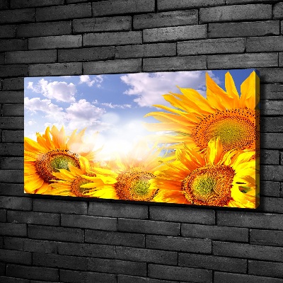 Schilderij op canvas Zonnebloemen