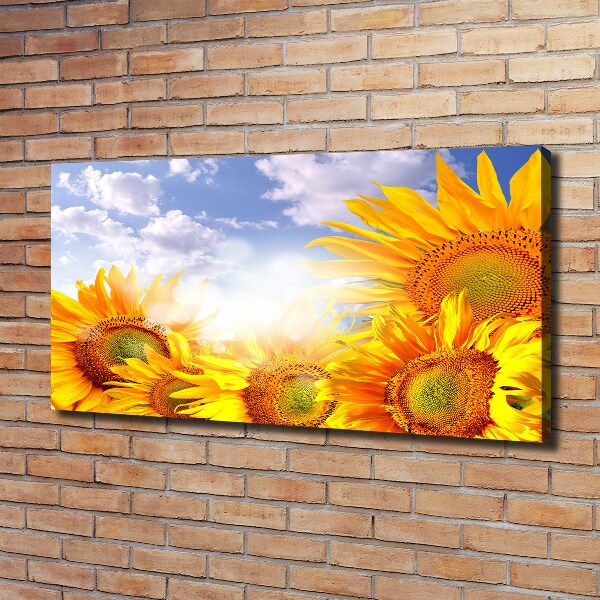 Schilderij op canvas Zonnebloemen