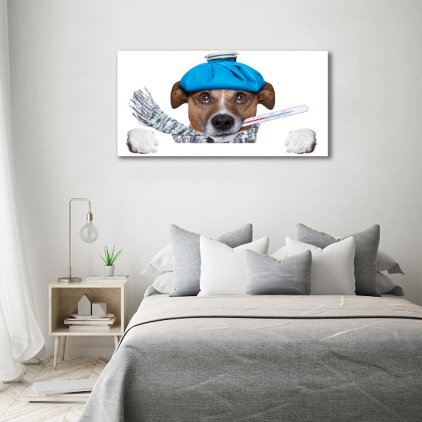 Foto op canvas Zieke hond