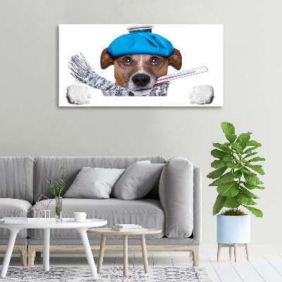 Foto op canvas Zieke hond