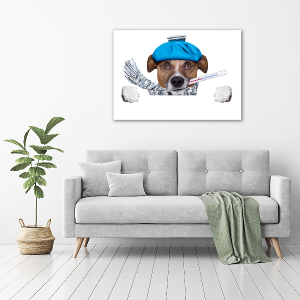 Foto op canvas Zieke hond