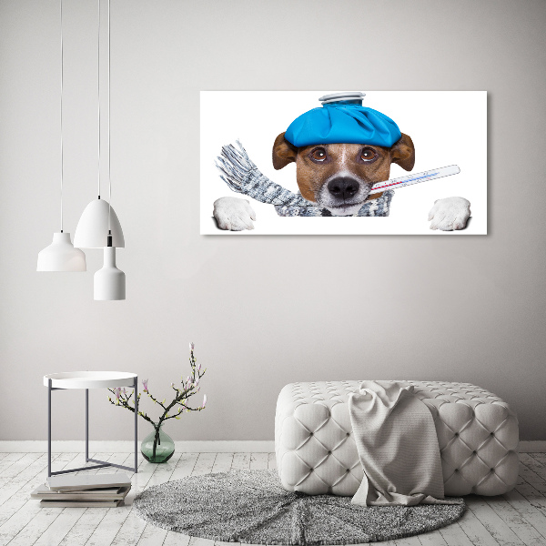 Foto op canvas Zieke hond