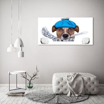 Foto op canvas Zieke hond