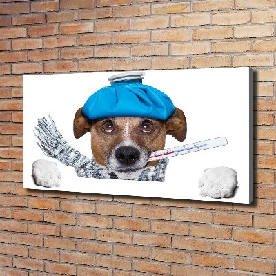 Foto op canvas Zieke hond