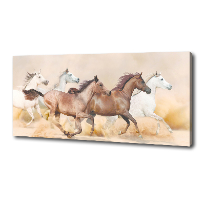 Canvas foto Paarden in galop