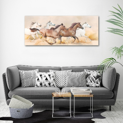 Canvas foto Paarden in galop