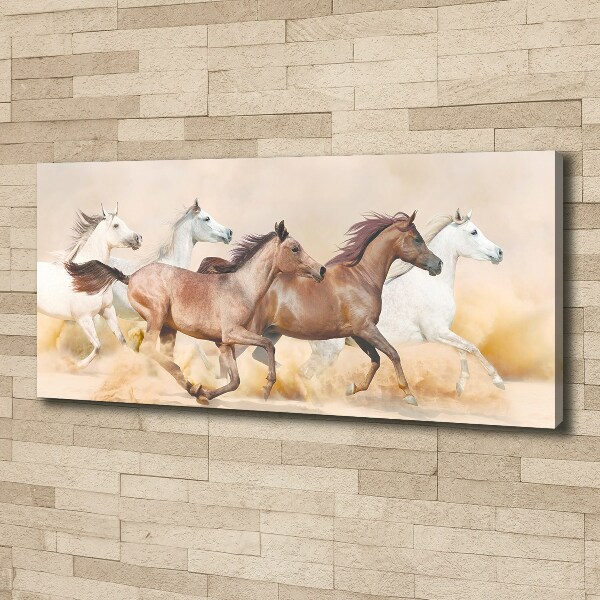 Canvas foto Paarden in galop