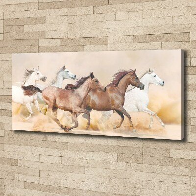 Canvas foto Paarden in galop