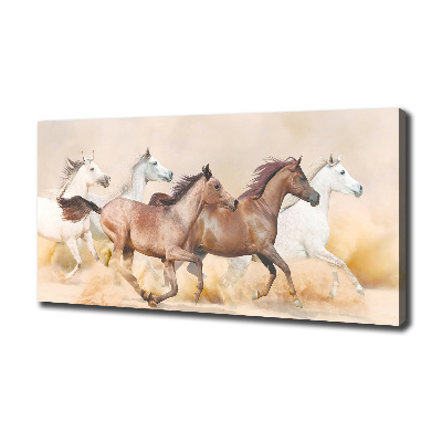Canvas foto Paarden in galop