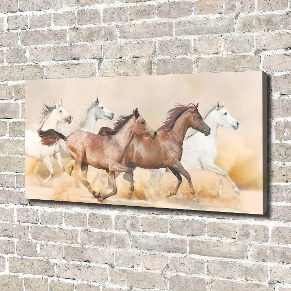 Canvas foto Paarden in galop