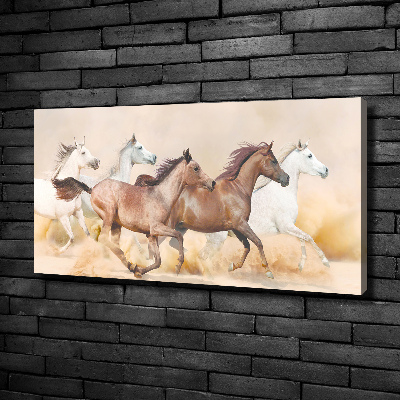 Canvas foto Paarden in galop