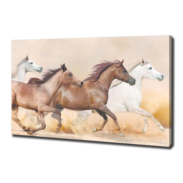 Canvas foto Paarden in galop