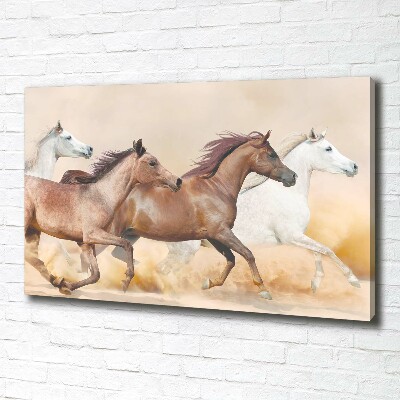 Canvas foto Paarden in galop