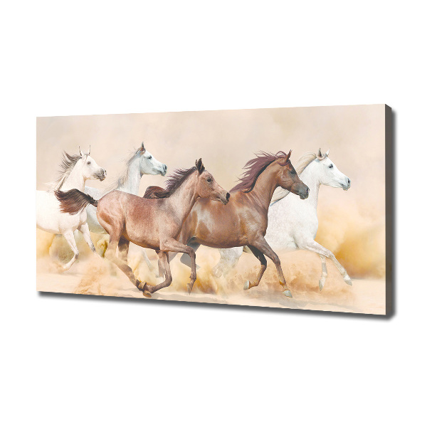 Canvas foto Paarden in galop