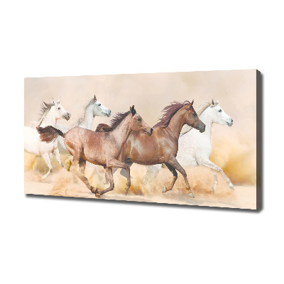 Canvas foto Paarden in galop