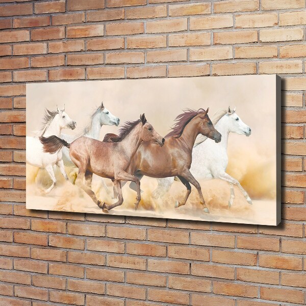 Canvas foto Paarden in galop
