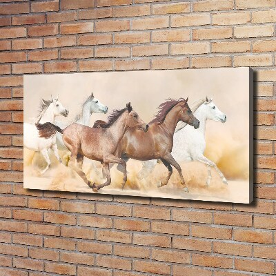 Canvas foto Paarden in galop